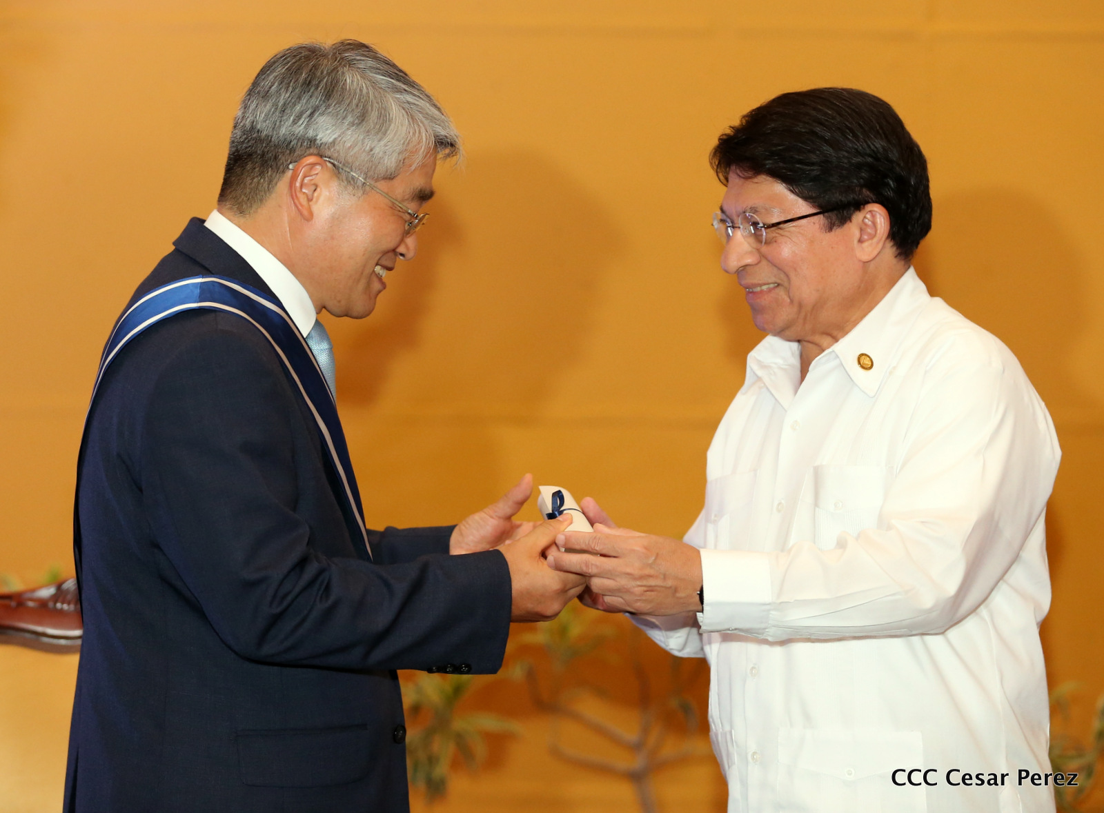 COREA1